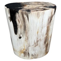 Andrianna Shamaris High Quality Petrified Wood Side Table