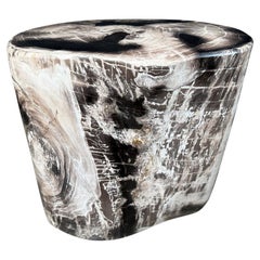 Andrianna Shamaris High Quality Petrified Wood Side Table