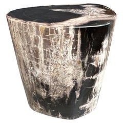 Andrianna Shamaris High Quality Petrified Wood Side Table