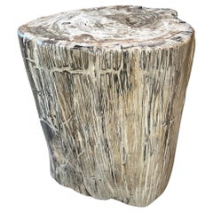 Andrianna Shamaris High Quality Petrified Wood Side Table