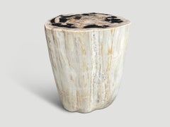 Andrianna Shamaris High Quality Petrified Wood Side Table
