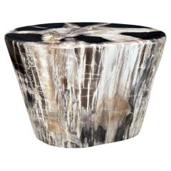 Andrianna Shamaris High Quality Petrified Wood Side Table