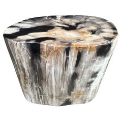 Andrianna Shamaris High Quality Petrified Wood Side Table