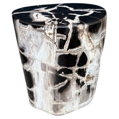 Andrianna Shamaris High Quality Petrified Wood Side Table