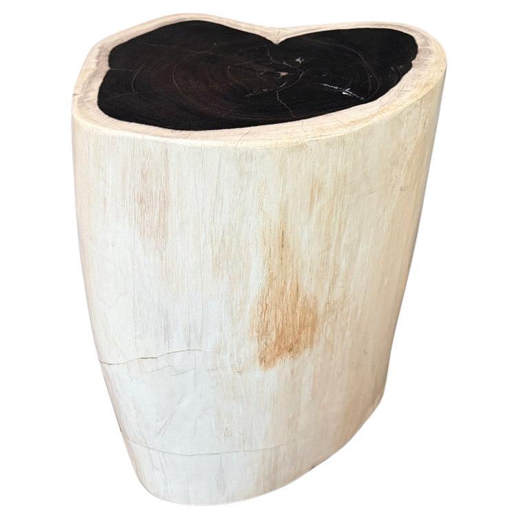 Andrianna Shamaris High Quality Petrified Wood Side Table