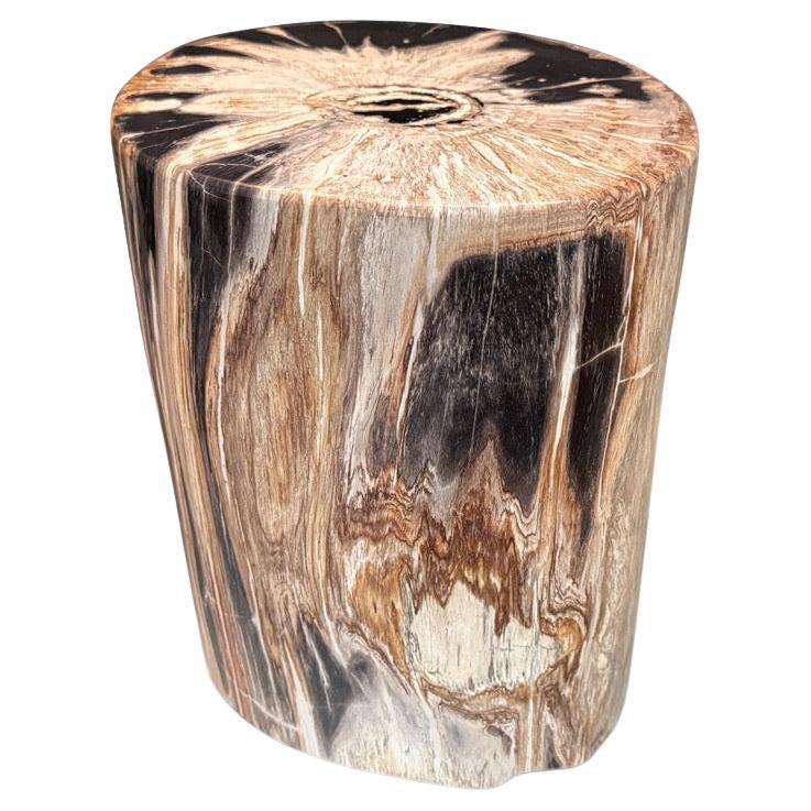 Andrianna Shamaris High Quality Petrified Wood Side Table