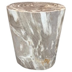 Andrianna Shamaris High Quality Petrified Wood Side Table