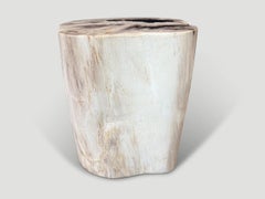 Andrianna Shamaris table d'appoint en bois pétrifié de haute qualité