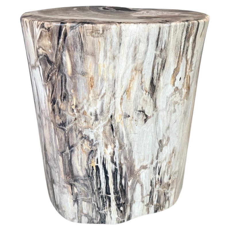 Andrianna Shamaris High Quality Petrified Wood Side Table