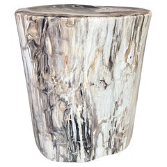 Andrianna Shamaris High Quality Petrified Wood Side Table