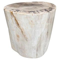 Andrianna Shamaris High Quality Petrified Wood Side Table