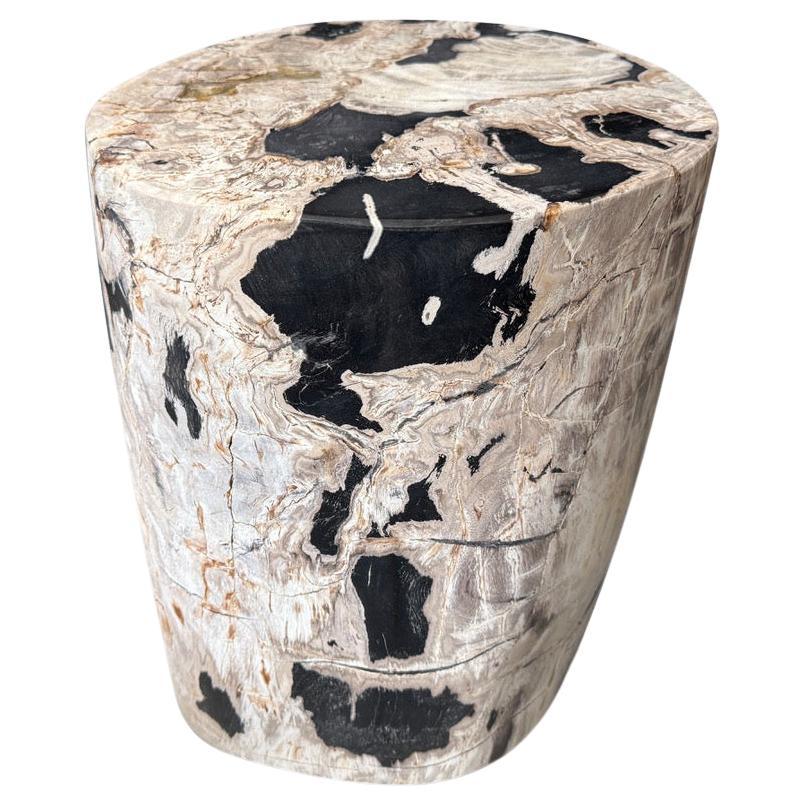 Andrianna Shamaris table d'appoint en bois pétrifié de haute qualité en vente