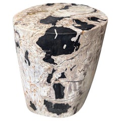 Andrianna Shamaris table d'appoint en bois pétrifié de haute qualité