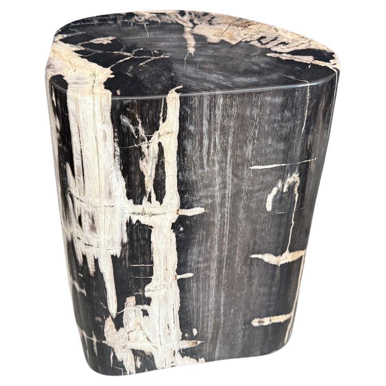 Andrianna Shamaris High Quality Petrified Wood Side Table