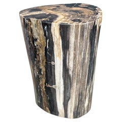 Andrianna Shamaris High Quality Petrified Wood Side Table