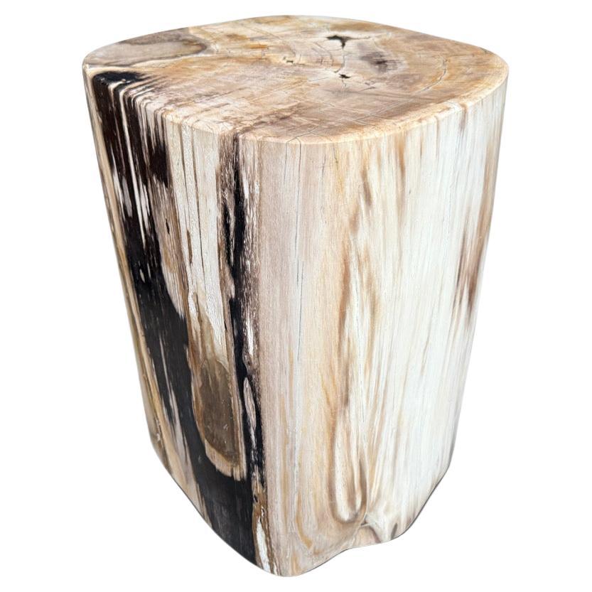 Andrianna Shamaris High Quality Petrified Wood Side Table