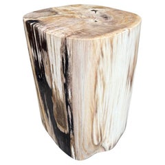 Andrianna Shamaris High Quality Petrified Wood Side Table