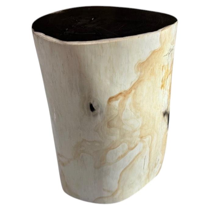 Andrianna Shamaris High Quality Petrified Wood Side Table For Sale