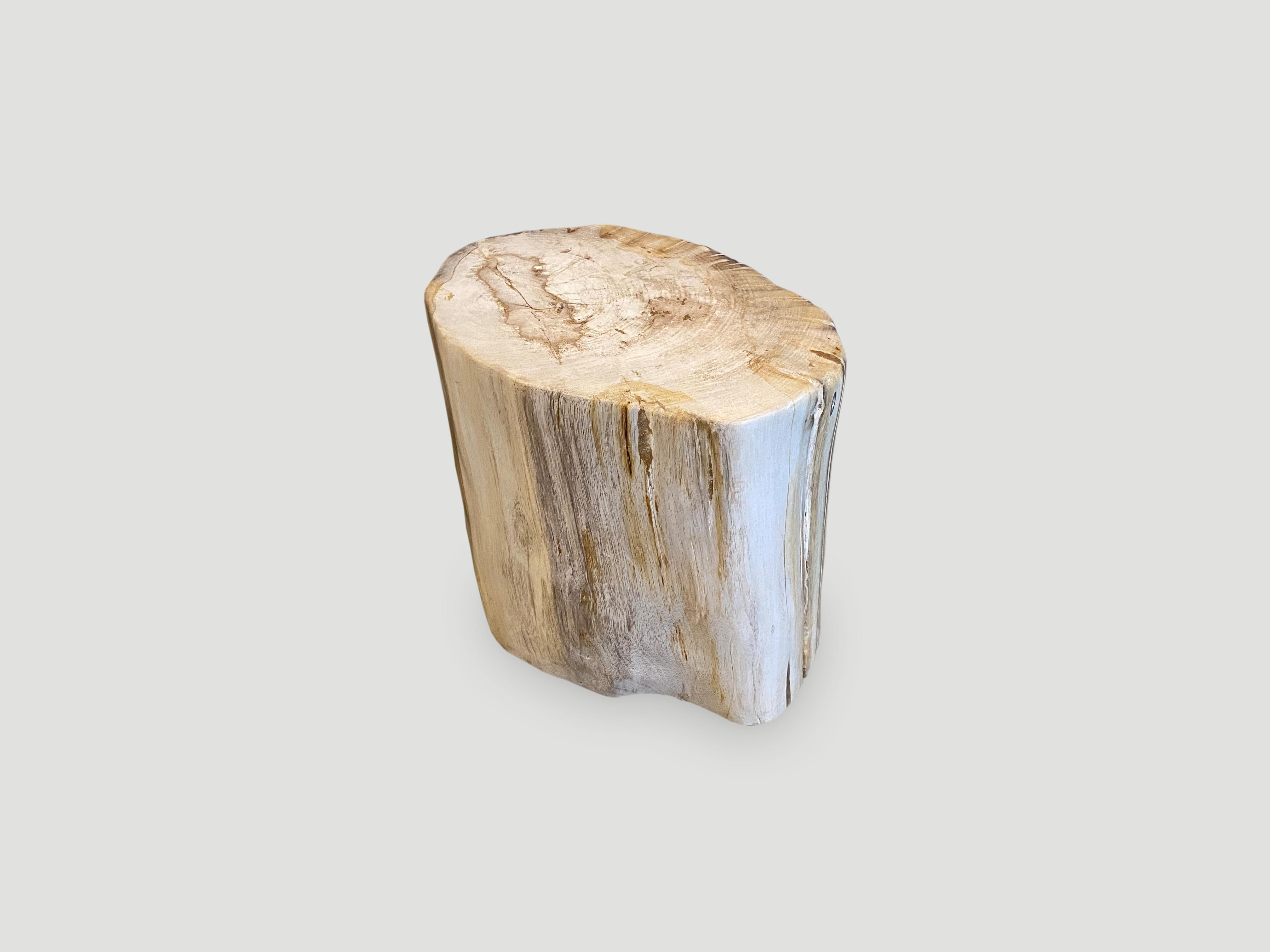 Organic Modern Andrianna Shamaris High Quality Petrified Wood Side Table or Coffee Table