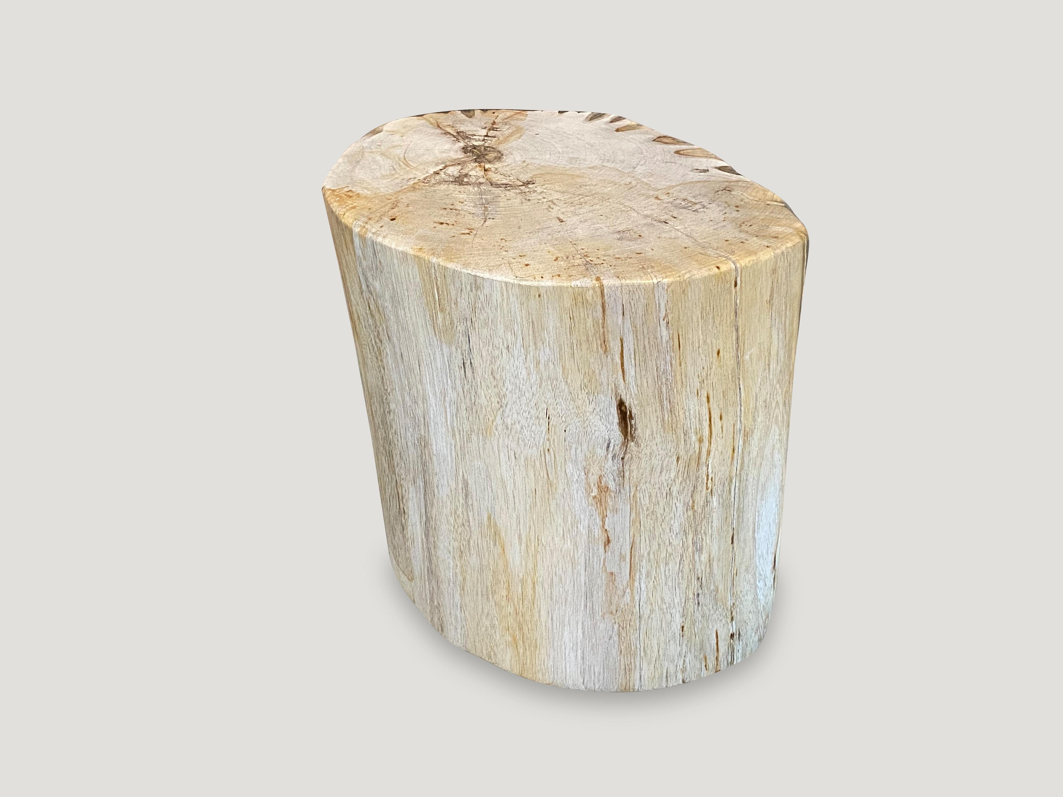 Organic Modern Andrianna Shamaris High Quality Petrified Wood Side Table or Coffee Table