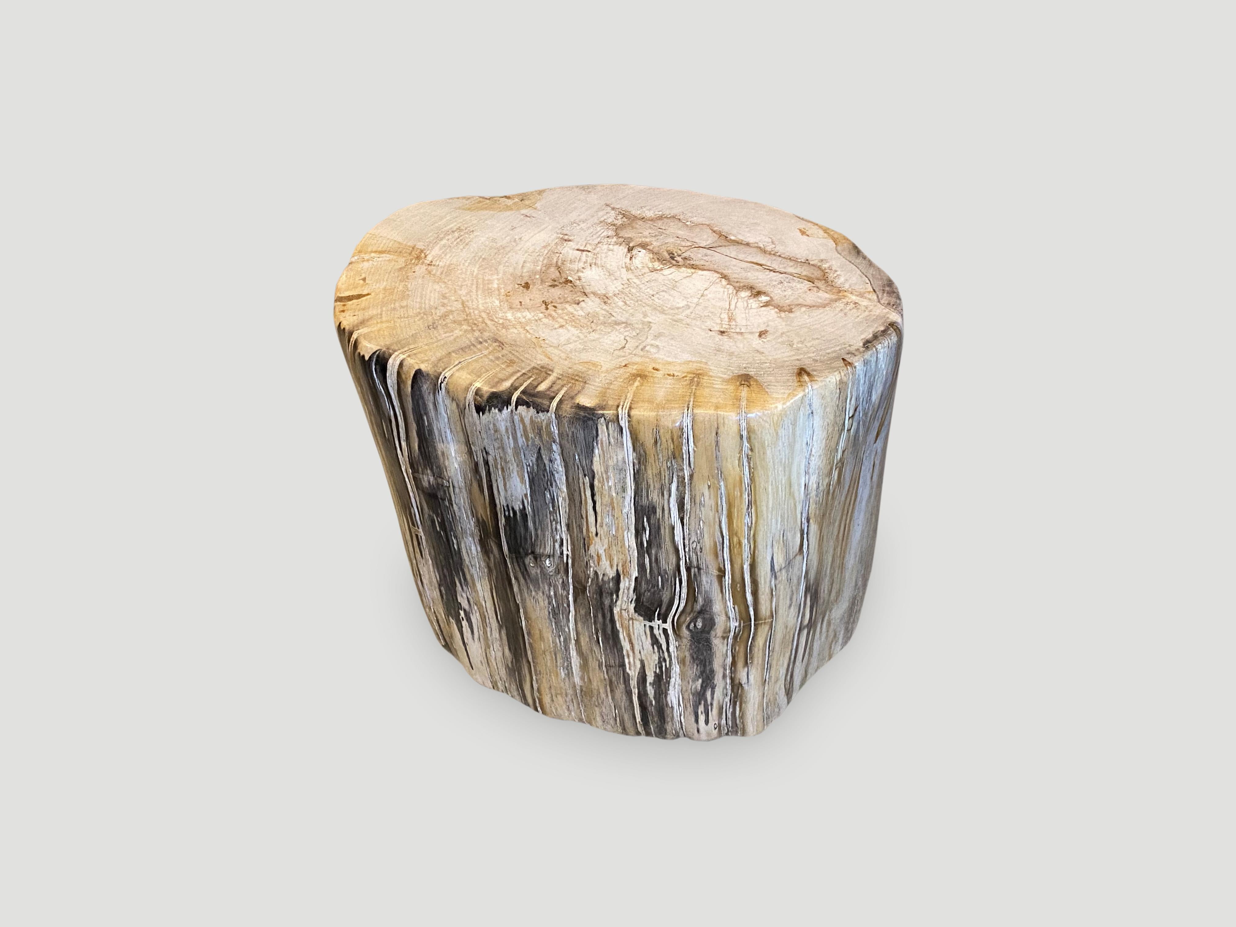 Andrianna Shamaris High Quality Petrified Wood Side Table or Coffee Table In Excellent Condition In New York, NY