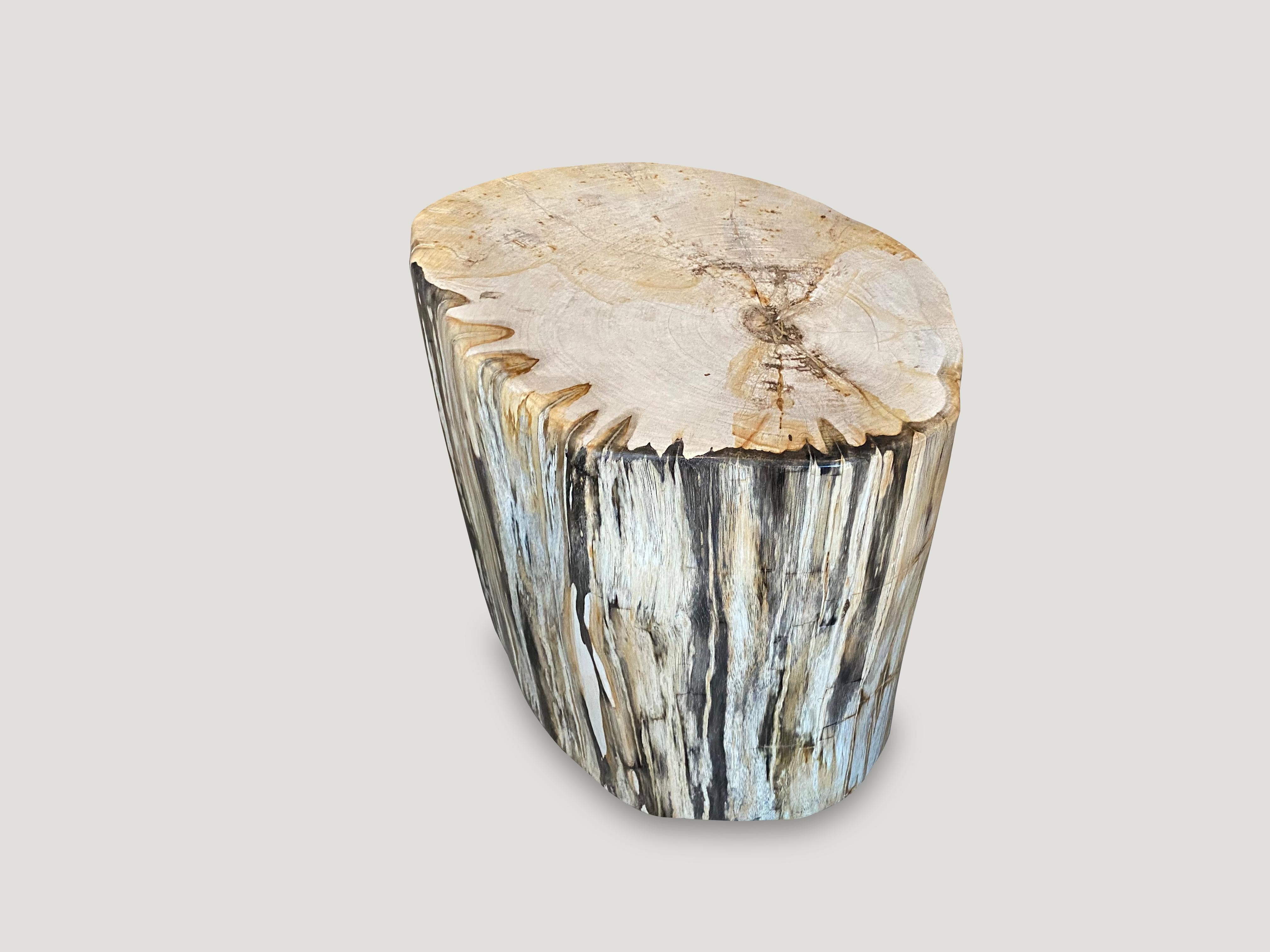 Andrianna Shamaris High Quality Petrified Wood Side Table or Coffee Table In Excellent Condition In New York, NY