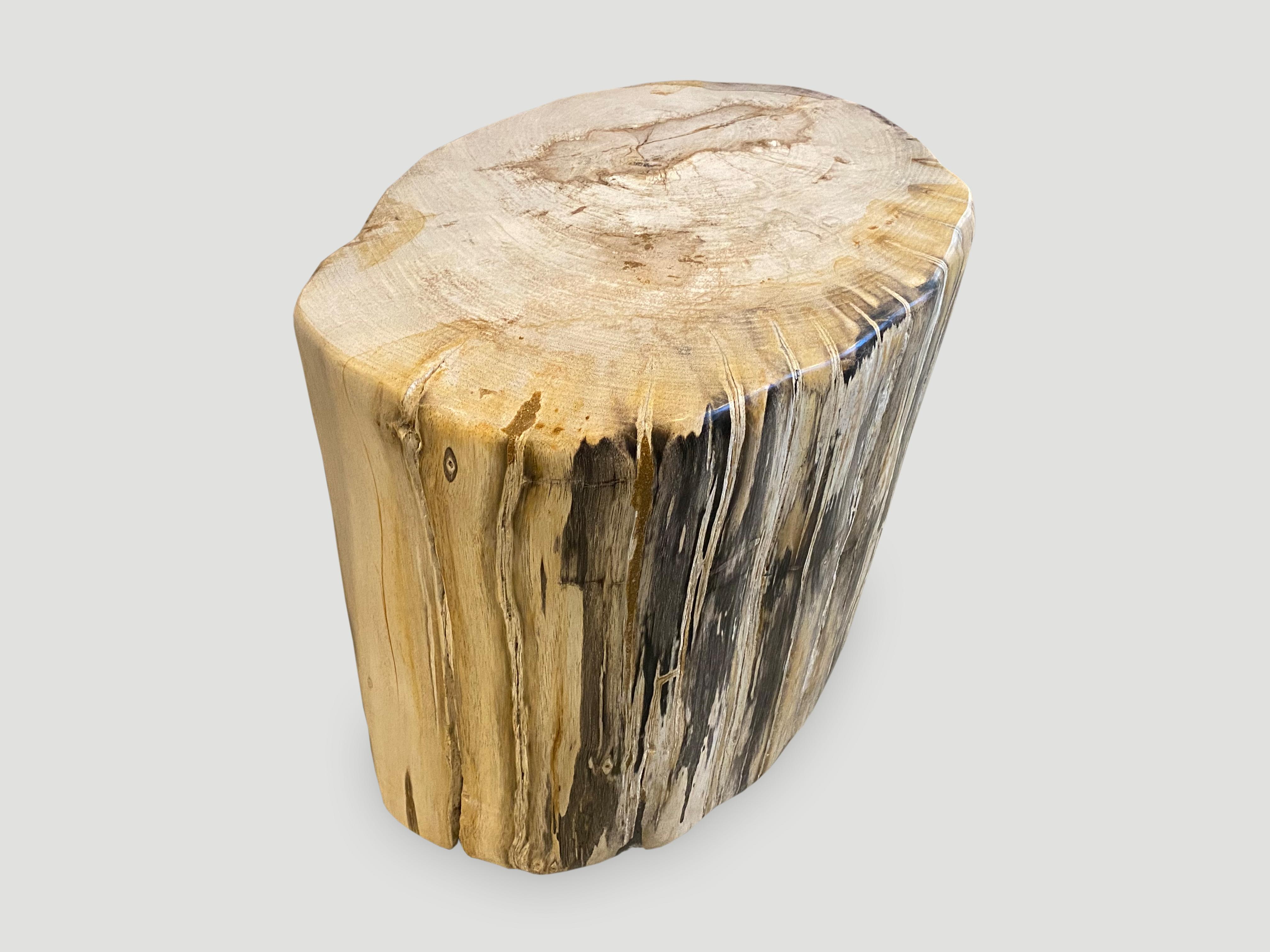 18th Century and Earlier Andrianna Shamaris High Quality Petrified Wood Side Table or Coffee Table