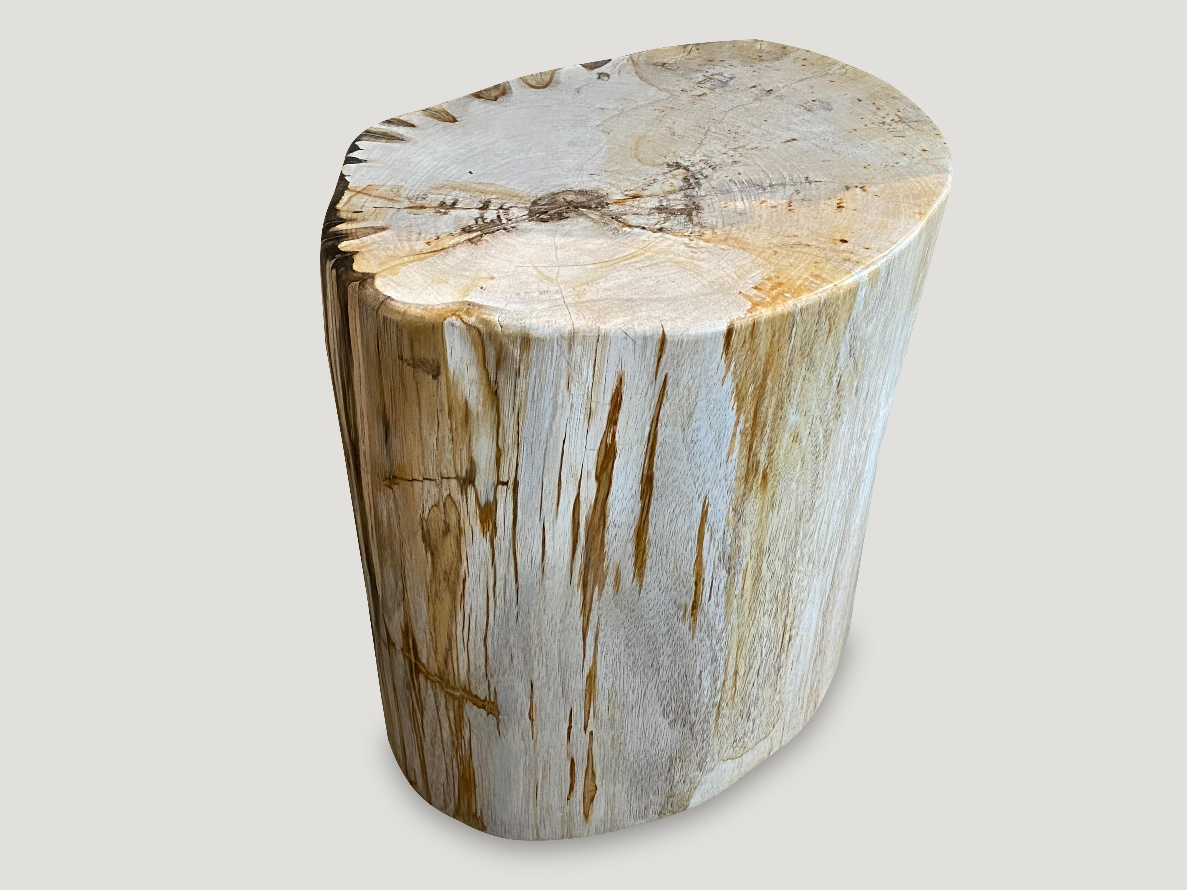 18th Century and Earlier Andrianna Shamaris High Quality Petrified Wood Side Table or Coffee Table