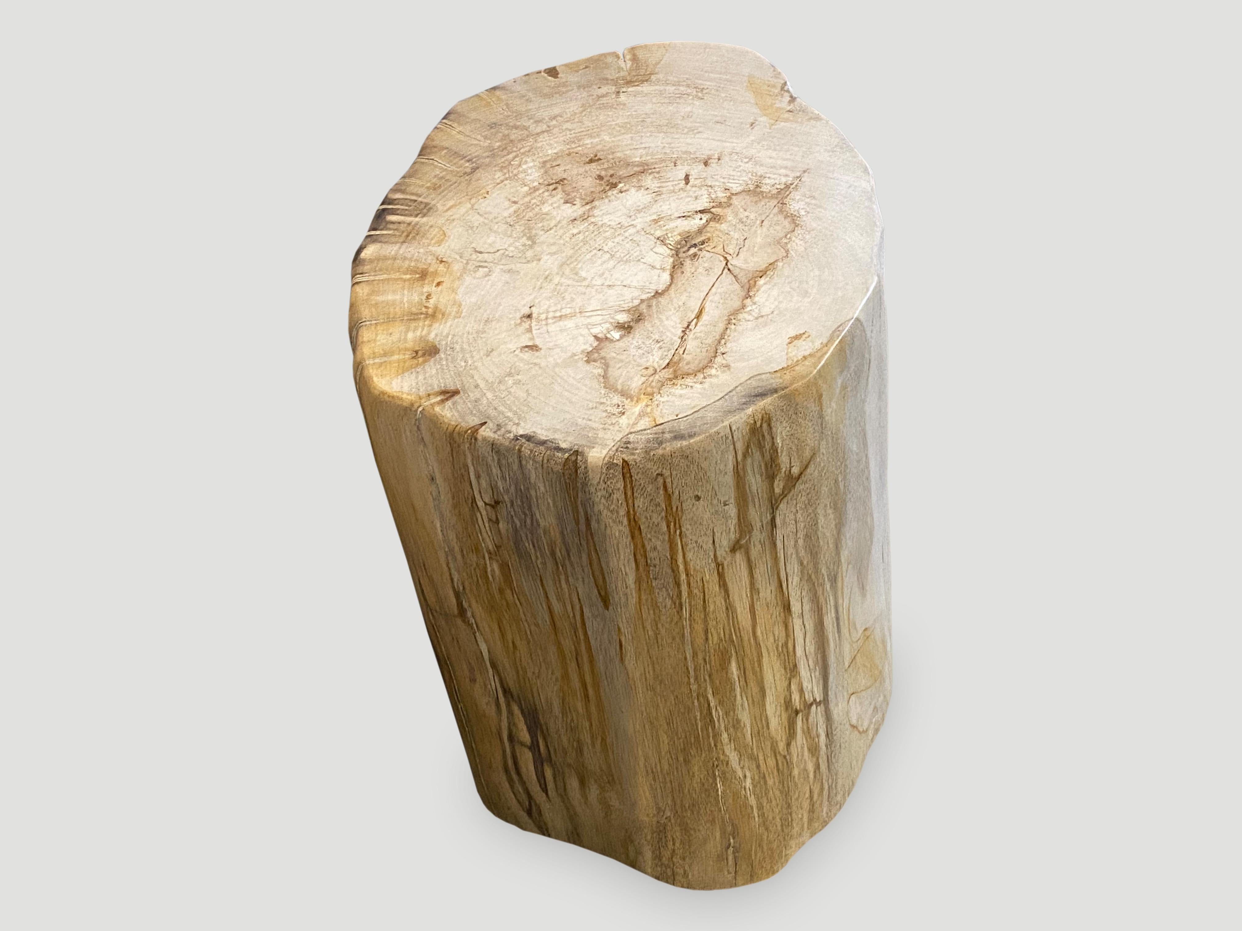 Andrianna Shamaris High Quality Petrified Wood Side Table or Coffee Table 1