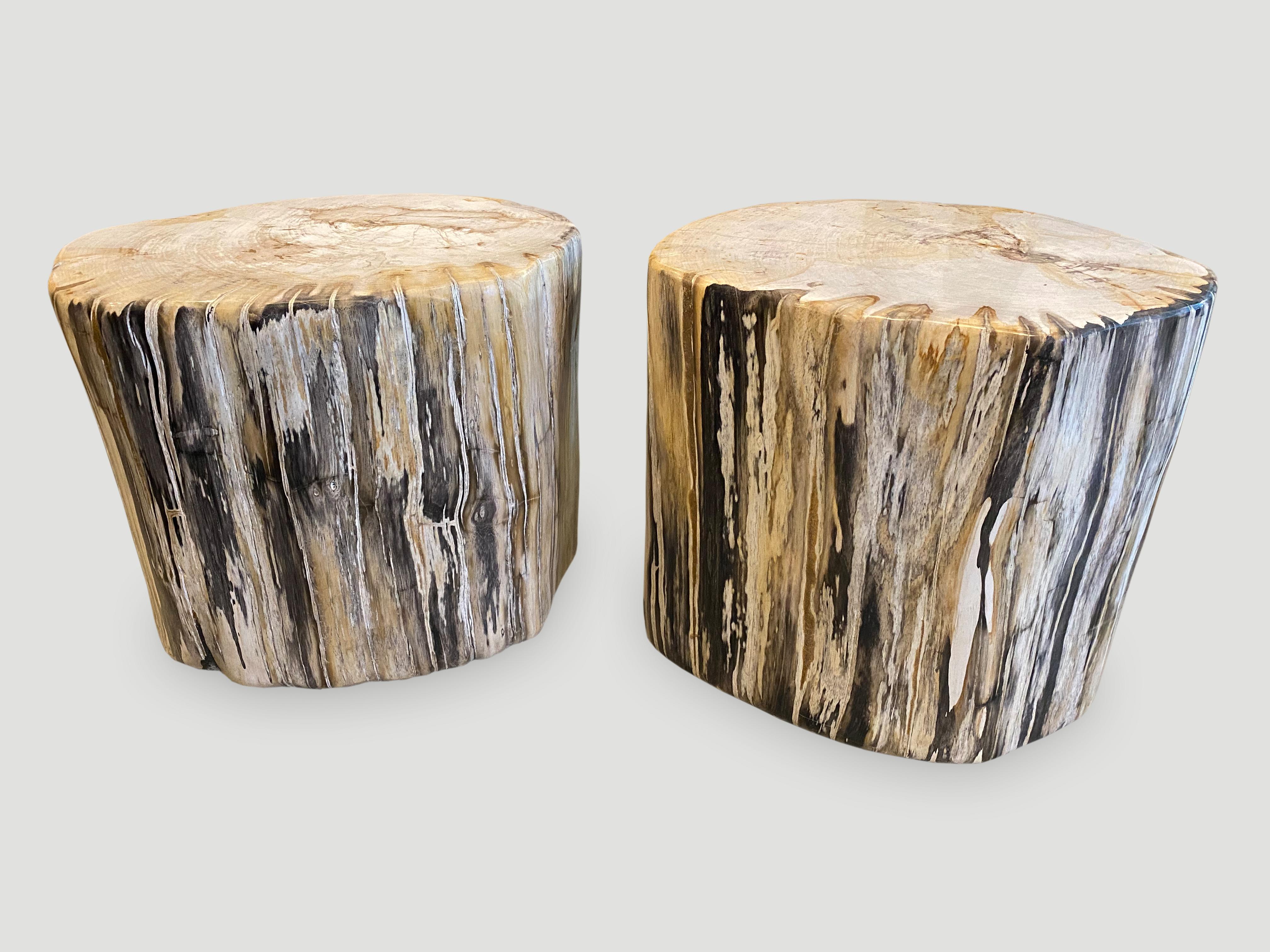 Andrianna Shamaris High Quality Petrified Wood Side Table or Coffee Table 2