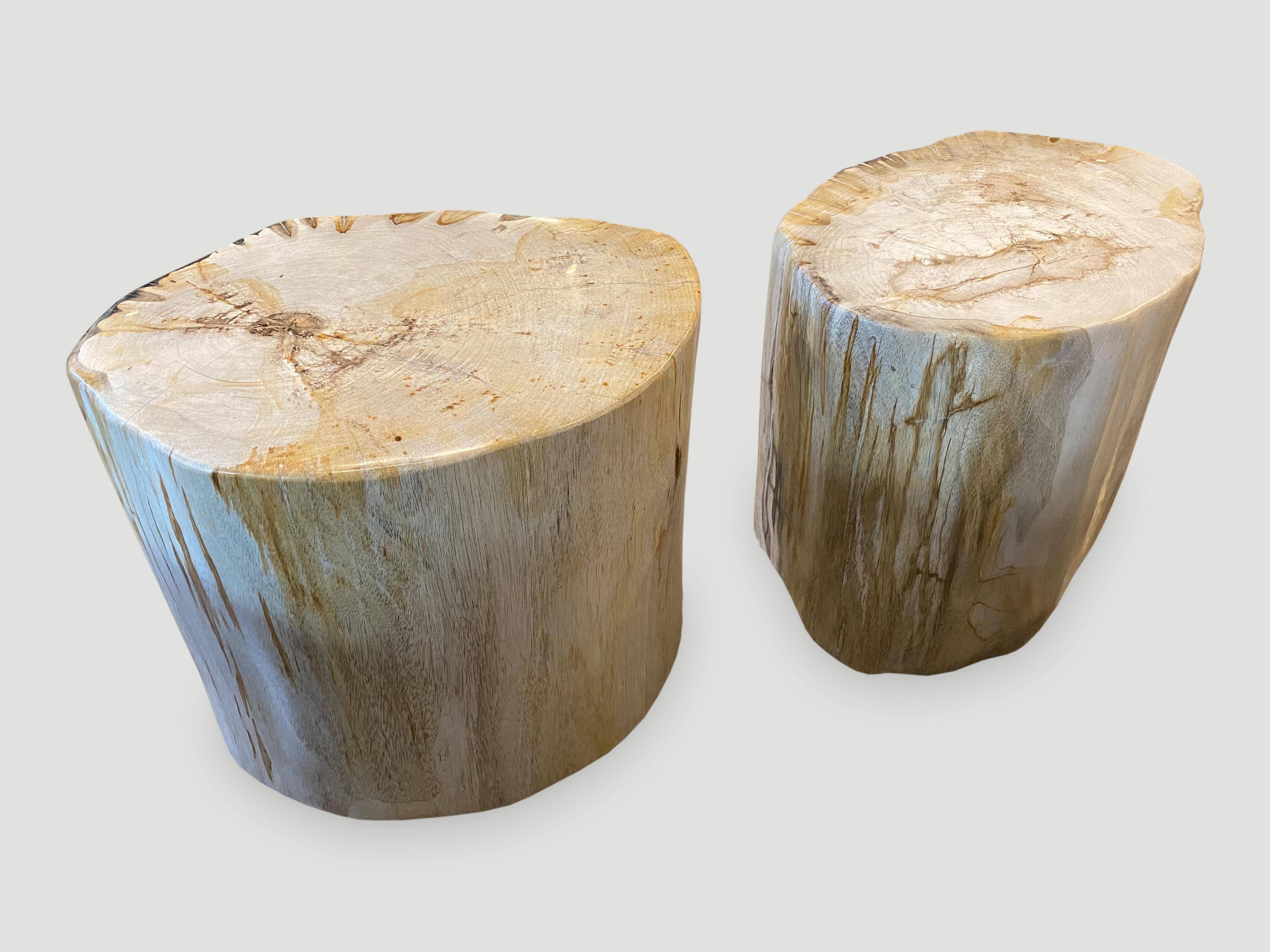 Andrianna Shamaris High Quality Petrified Wood Side Table or Coffee Table 3