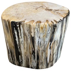 Andrianna Shamaris High Quality Petrified Wood Side Table or Coffee Table