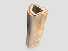 Andrianna Shamaris High Quality Petrified Wood Side Table or Pedestal