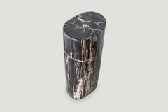 Andrianna Shamaris High Quality Petrified Wood Side Table or Pedestal