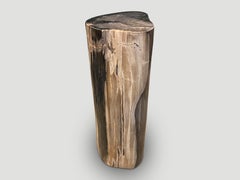 Andrianna Shamaris High Quality Petrified Wood Side Table or Pedestal