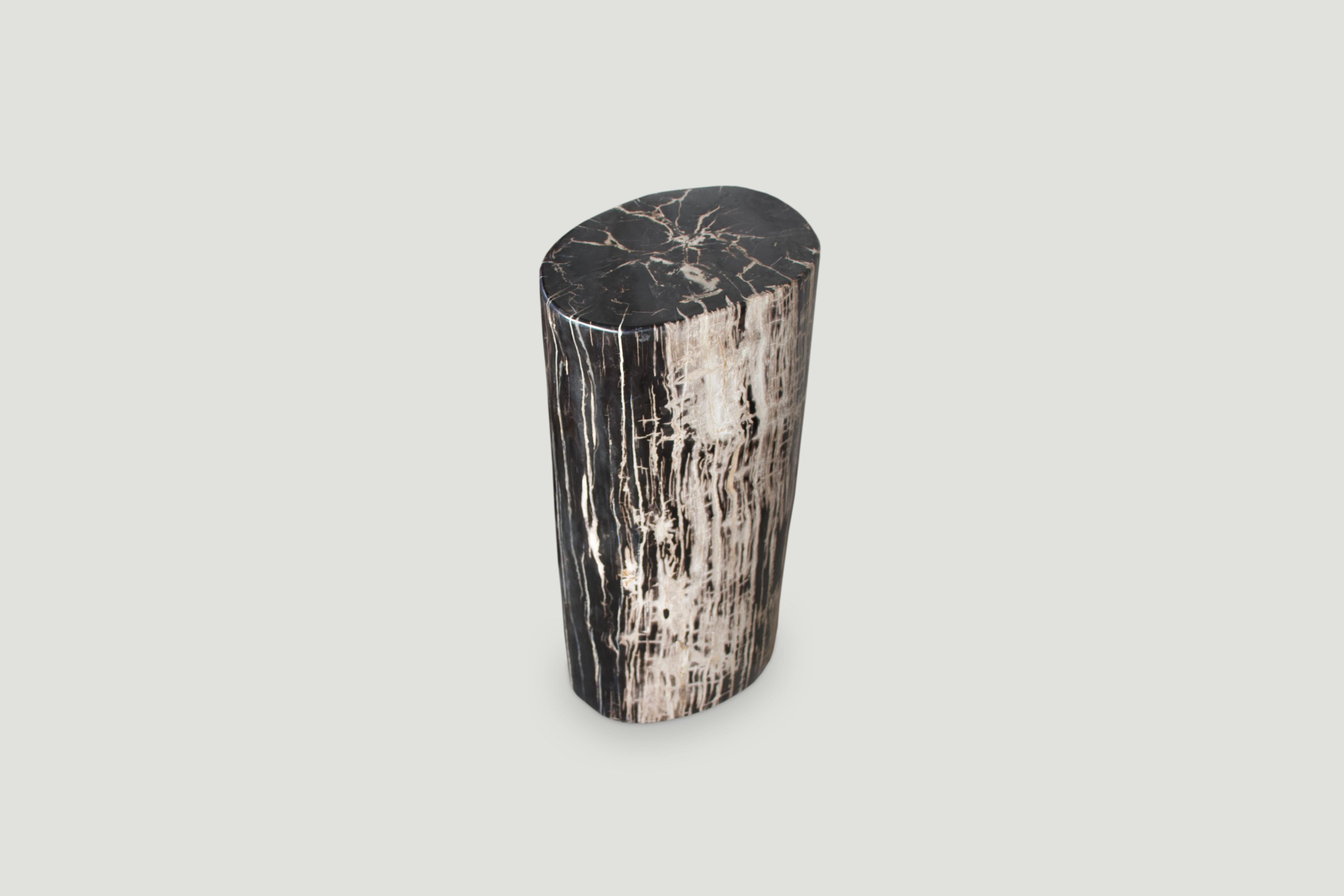 Organic Modern Andrianna Shamaris High Quality Petrified Wood Side Table or Pedestal