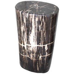 Andrianna Shamaris High Quality Petrified Wood Side Table or Pedestal