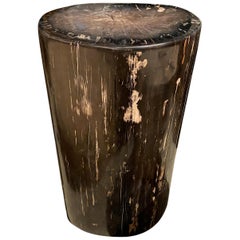 Antique Andrianna Shamaris High Quality Petrified Wood Side Table or Pedestal