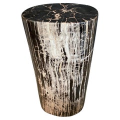 Andrianna Shamaris High Quality Petrified Wood Side Table or Pedestal