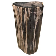 Andrianna Shamaris High Quality Petrified Wood Side Table or Pedestal