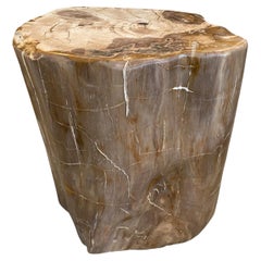 Andrianna Shamaris High Quality Petrified Wood Side Table or Pedestal