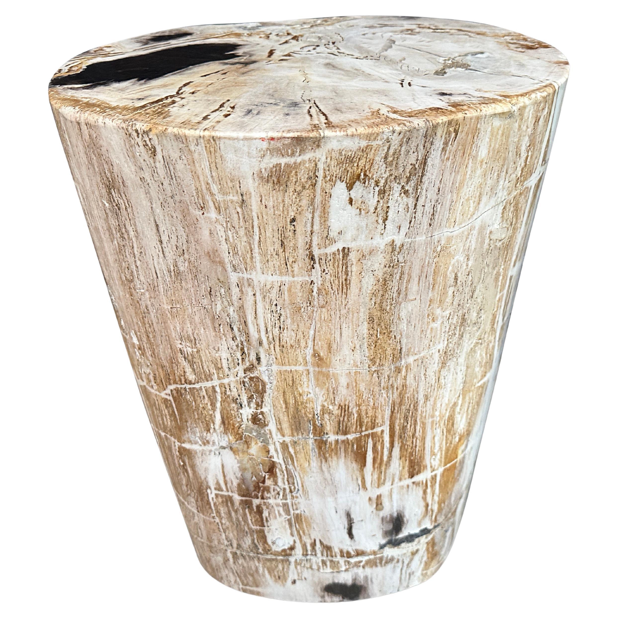 Petrified Wood Side Tables 212 For Sale at 1stDibs petrified wood end table, petrified wood