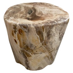 Andrianna Shamaris High Quality Petrified Wood Side Table with Crystallized Top