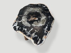 Andrianna Shamaris High Quality Petrified Wood Slab Coffee Table or Side Table