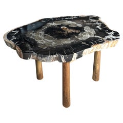 Andrianna Shamaris High Quality Petrified Wood Slab Coffee Table or Side Table