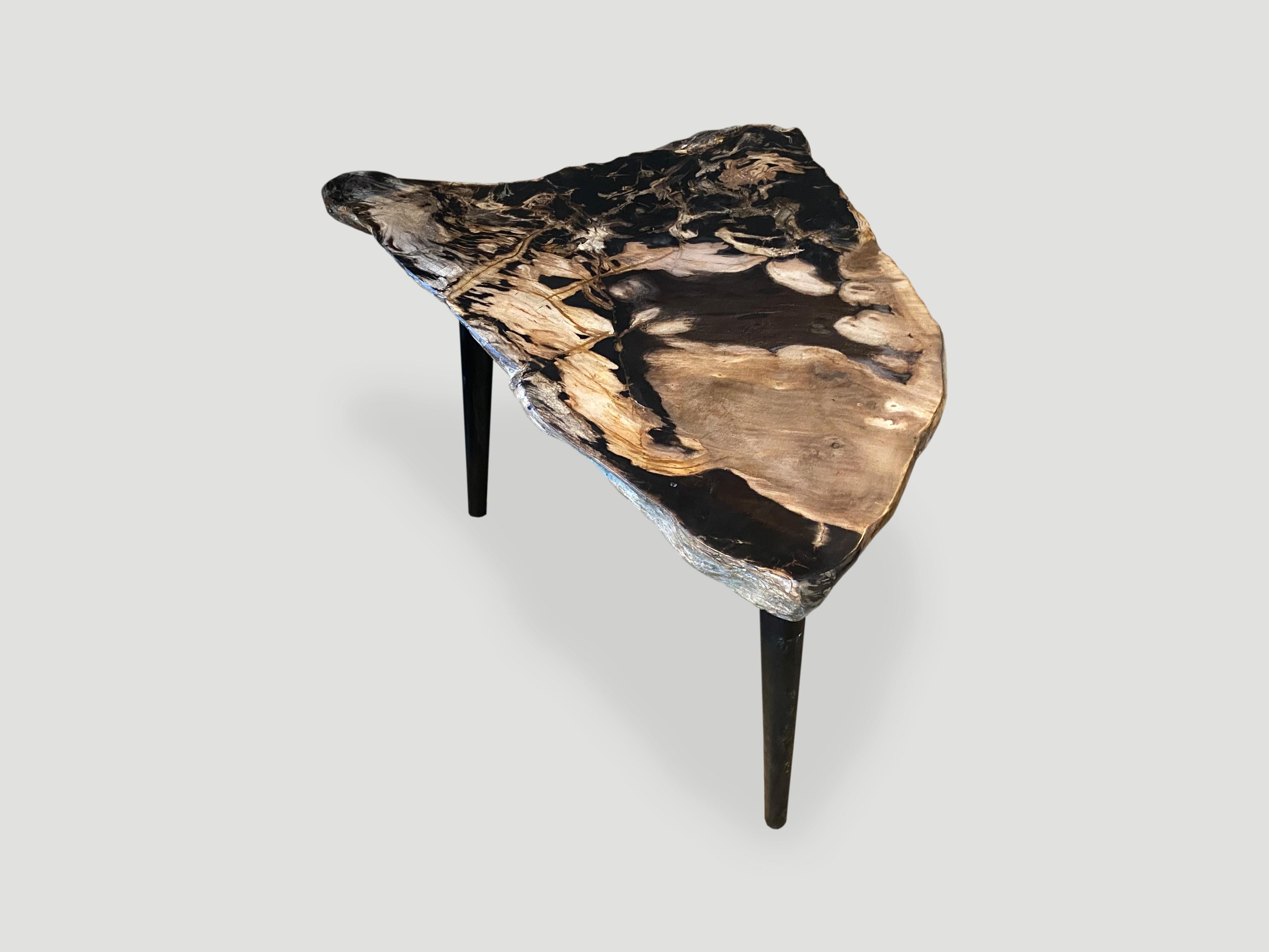 Organic Modern Andrianna Shamaris High Quality Petrified Wood Slab Top Side Table