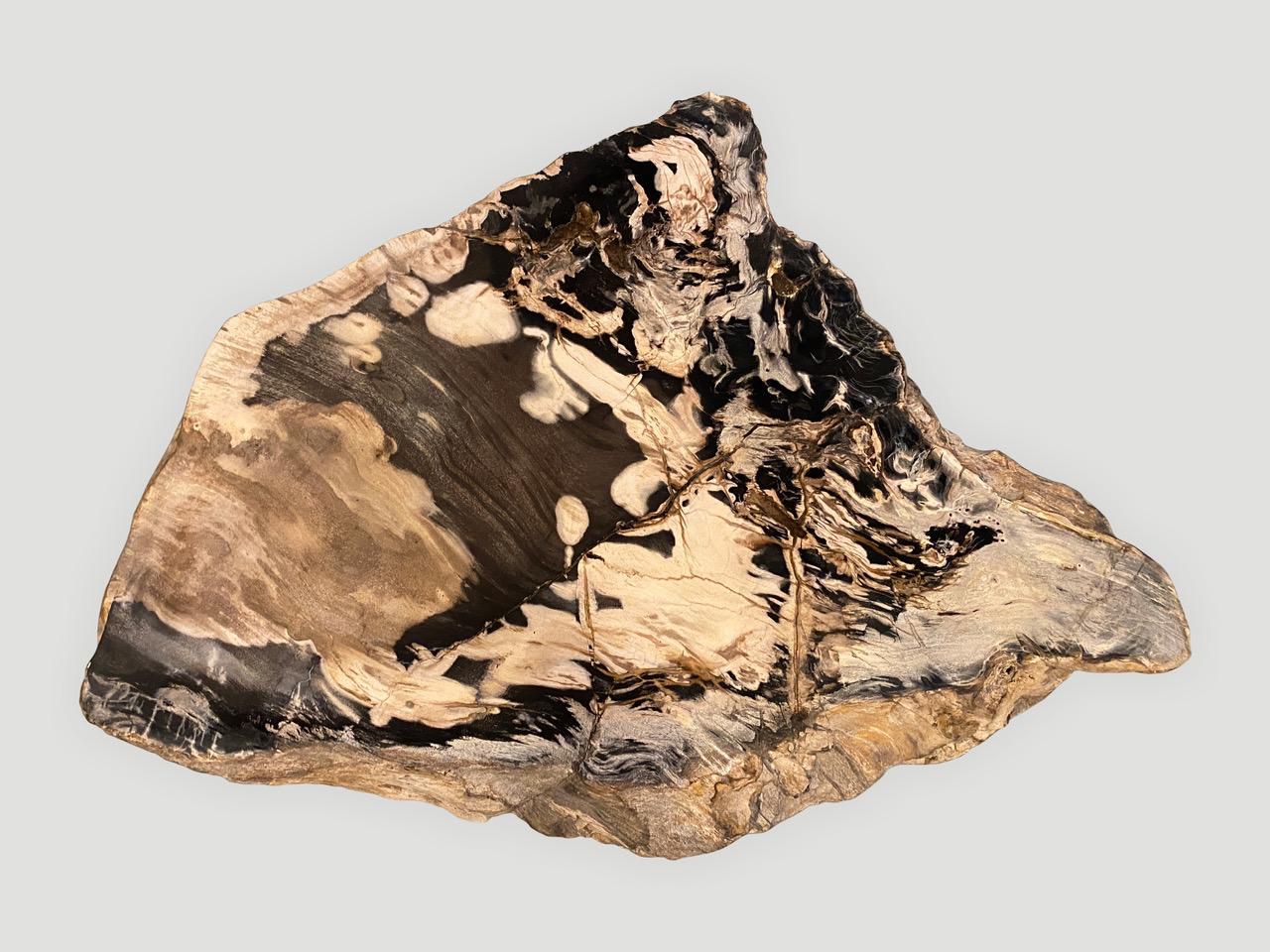 Andrianna Shamaris High Quality Petrified Wood Slab Top Side Table In Excellent Condition In New York, NY