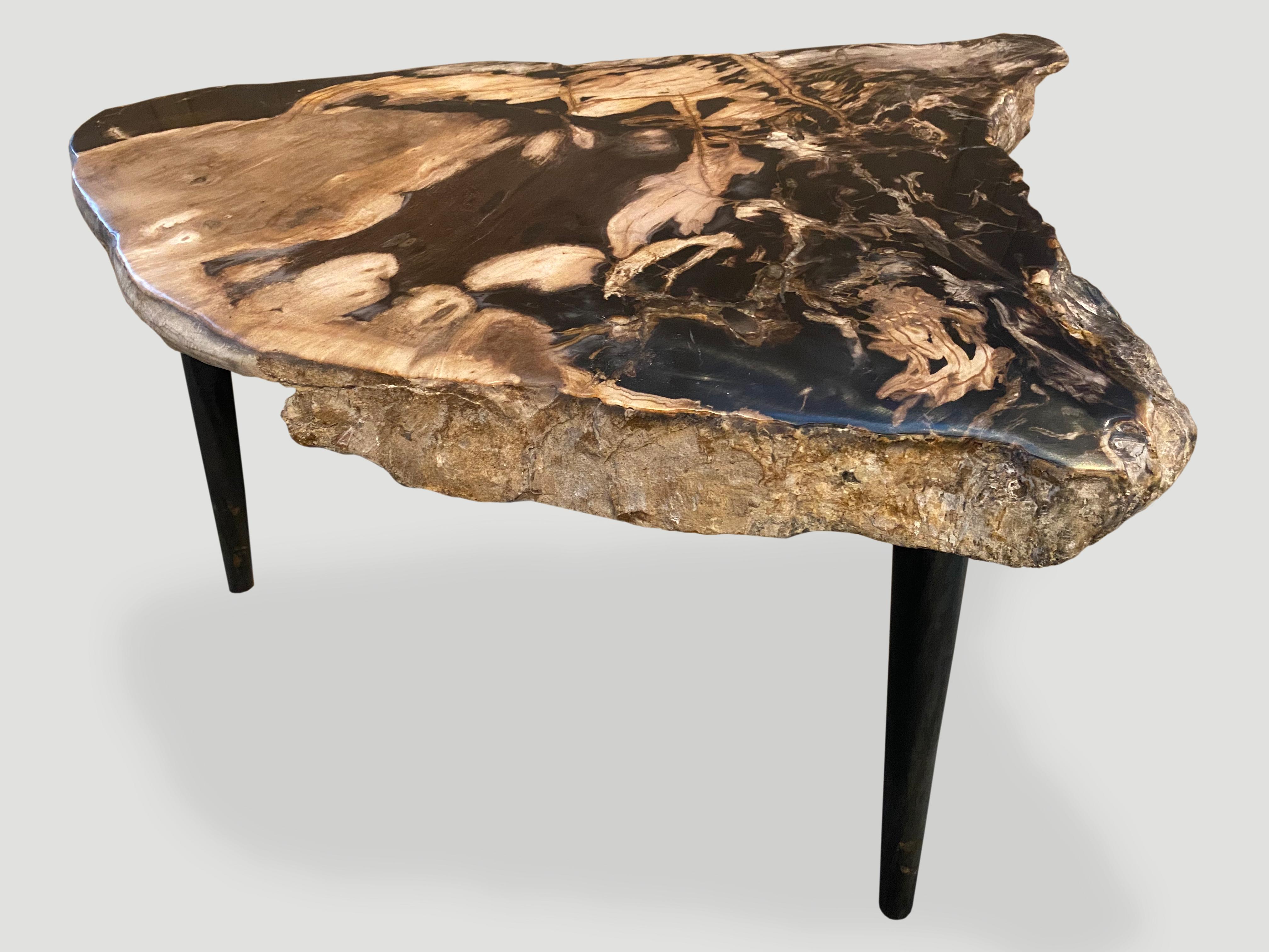 18th Century and Earlier Andrianna Shamaris High Quality Petrified Wood Slab Top Side Table