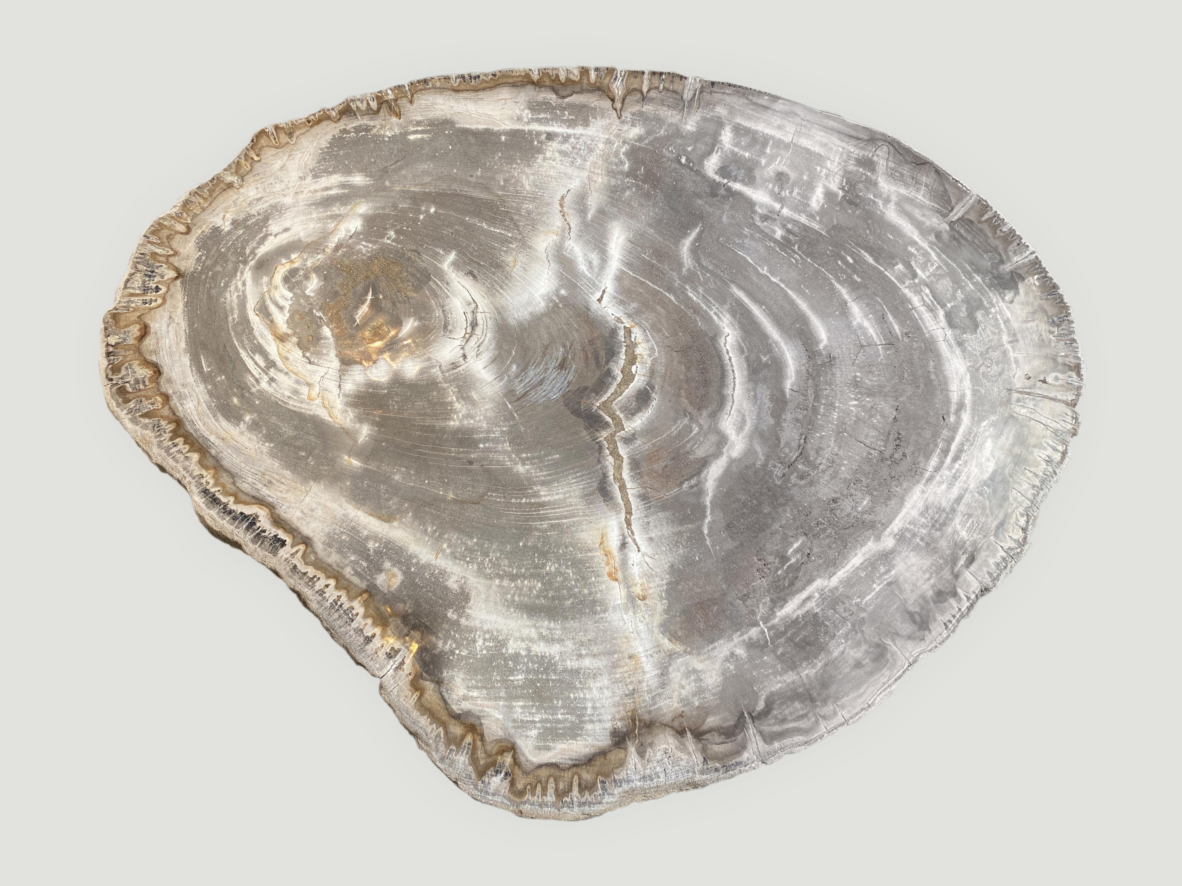 Andrianna Shamaris High Quality Petrified Wood Slab Top Side Table In Excellent Condition For Sale In New York, NY