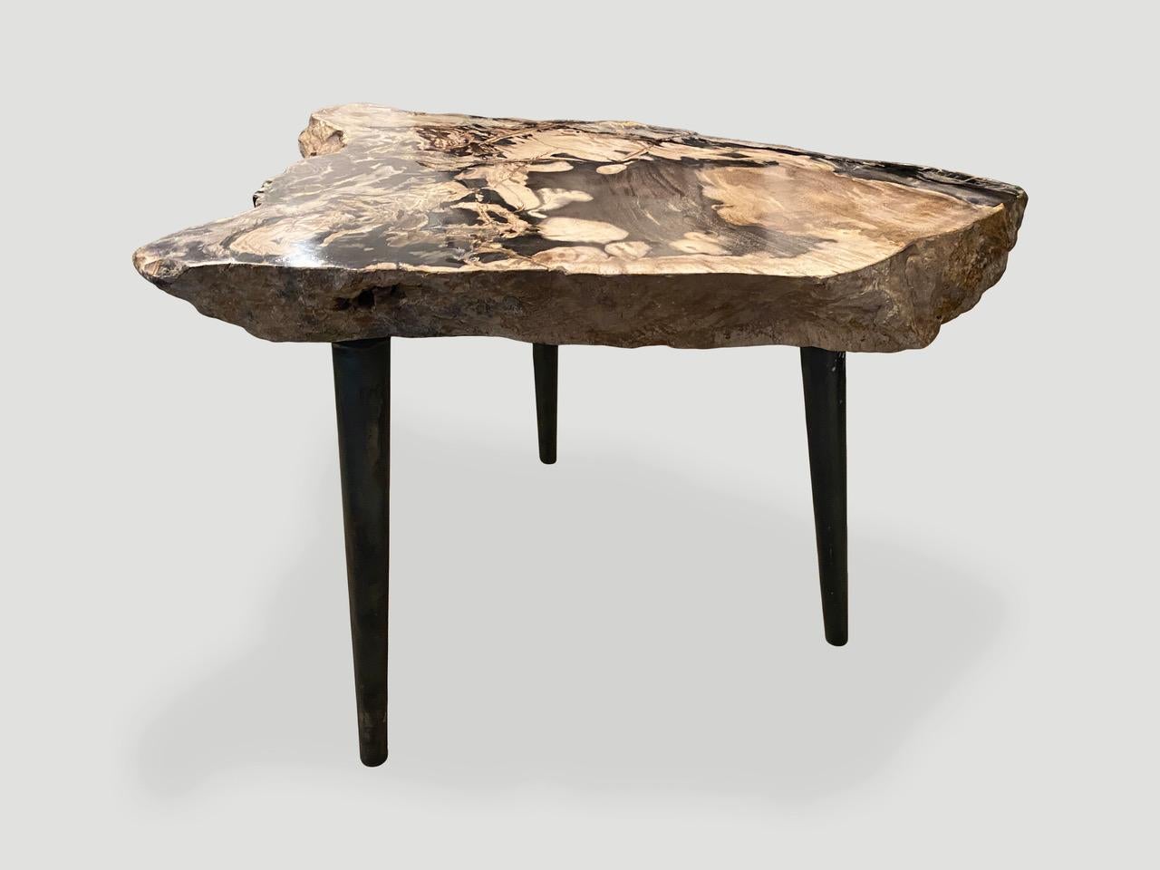 18th Century and Earlier Andrianna Shamaris High Quality Petrified Wood Slab Top Side Table